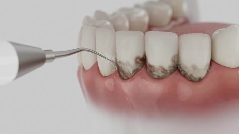 Reliable Dental contractor in Hot Springs, AR by Dentist Open Now